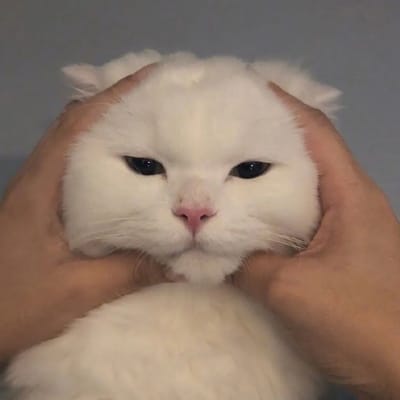 Tony Tan Caktiong's avatar